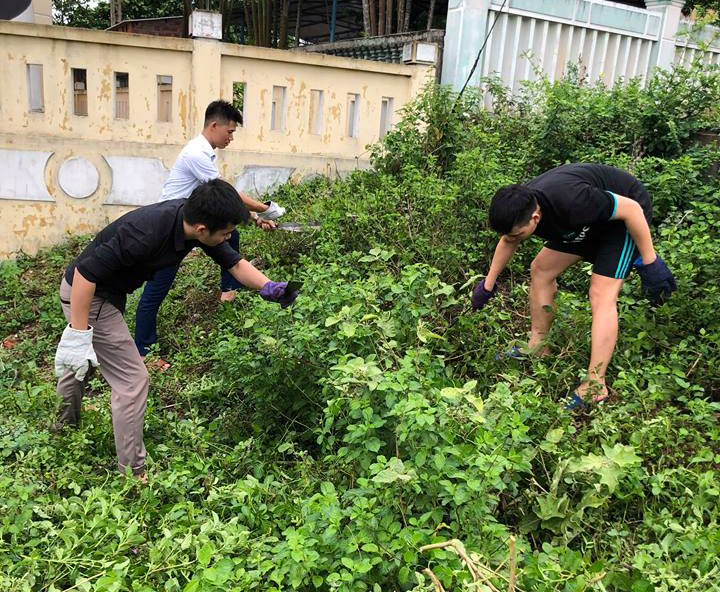 ĐỘI HÌNH THANH NIÊN TÌNH NGUYỆN HÈ NĂM 2018-ĐOÀN THANH NIÊN TỔNG CÔNG TY BẢO ĐẢM AN TOÀN HÀNG HẢI MIỀN BẮC TỔ CHỨC RA QUÂN “NGÀY CHỦ NHẬT XANH”