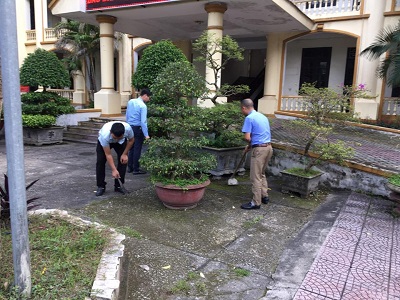 Khởi động tháng thanh niên 2020 Đoàn Thanh niên Chi Đoàn Công ty BĐATHH Bắc Trung Bộ tổ chức chương trình “Ngày chủ nhật xanh” 