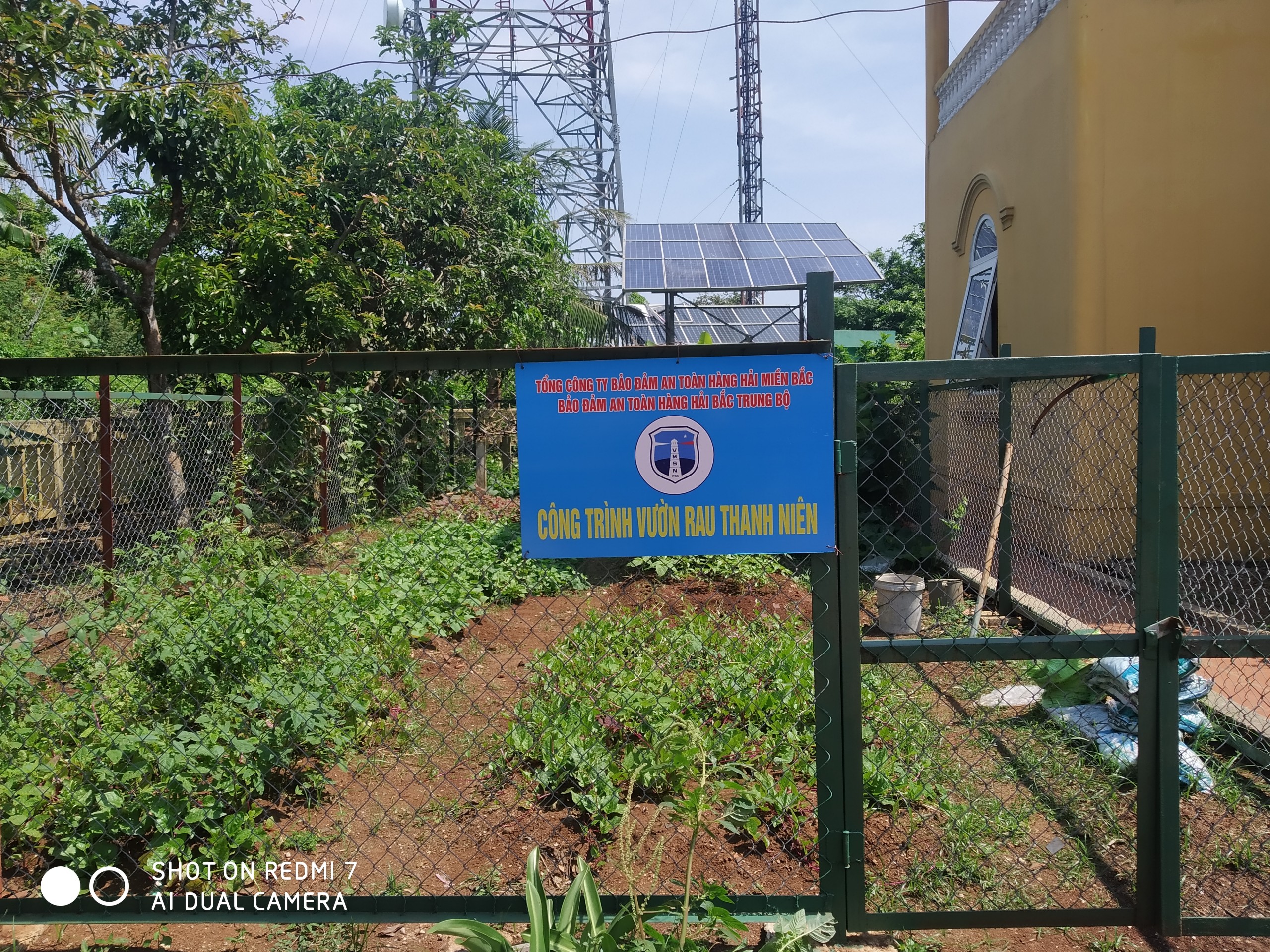 CÔNG TRÌNH VƯỜN RAU ĐOÀN THANH NIÊN TẠI CÁC TRẠM ĐÈN BIỂN ĐẢO TRẦN, CỒN CỎ, CÙ LAO CHÀM THUỘC TỔNG CÔNG TY BẢO ĐẢM AN TOÀN HÀNG HẢI MIỀN BẮC