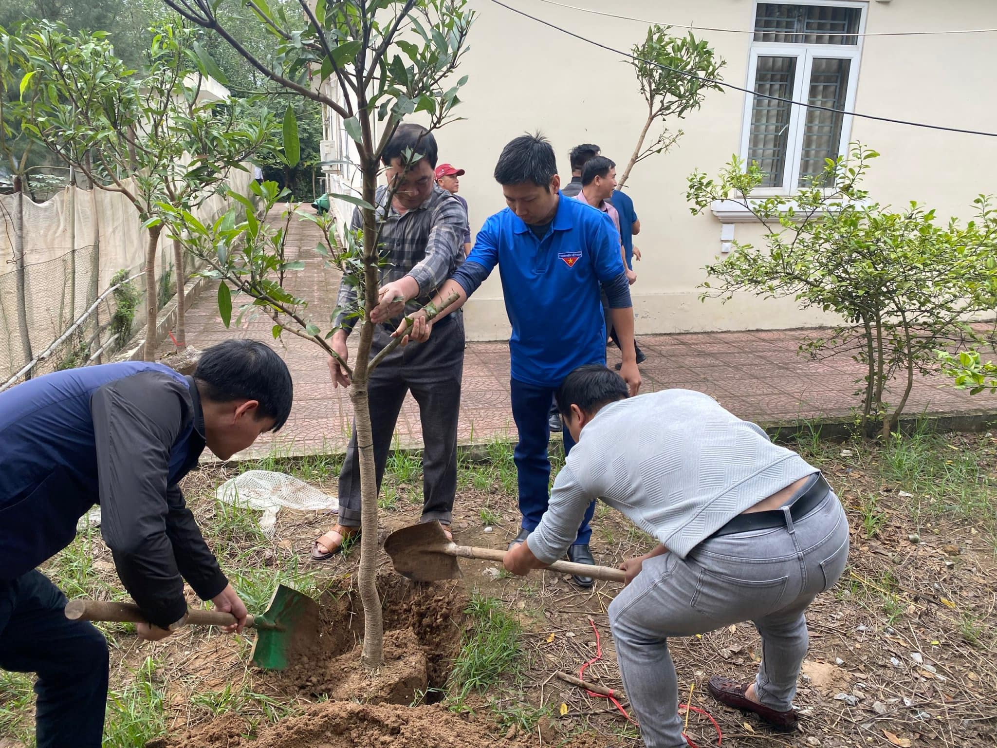 Đoàn thanh niên Tổng công ty Bảo đảm an toàn hàng hải miền Bắc thực hiện công trình thanh niên cấp Huyện “Đảm nhận trồng và chăm sóc cây xanh, bảo vệ môi trường
